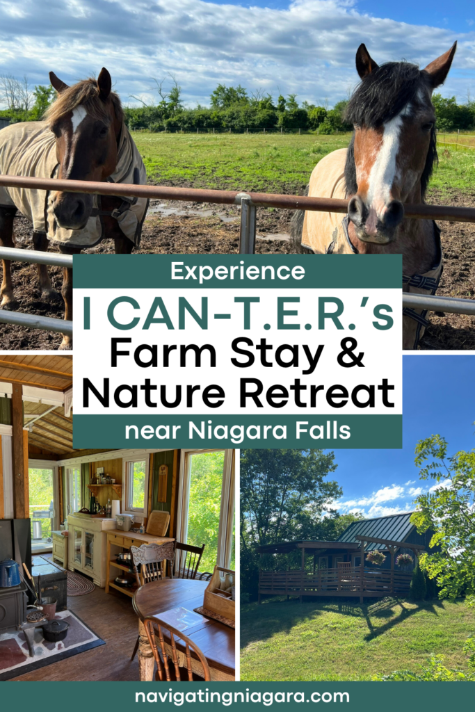 icanter farm stay