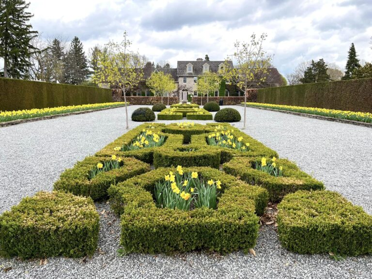 Springtime Magic: 10 Must-Do Activities in Niagara This Spring
