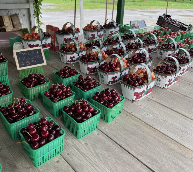 Taste the Season: 10 Family-Run Farm Stands to Visit in Niagara 