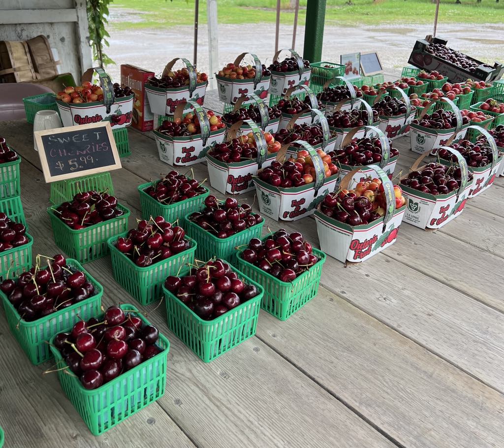Taste the Season: 10 Family-Run Farm Stands to Visit in Niagara 